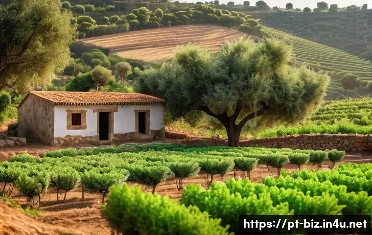 사업 확장 전략 관련 이미지 2